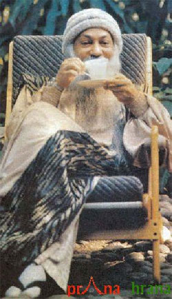 Osho Osho