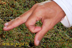 Joga-gestovi-mudra-Jnana