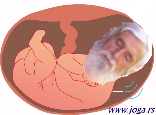 654b-fetus-jogif