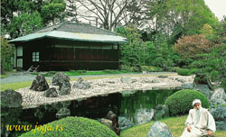Osho-2012-garden