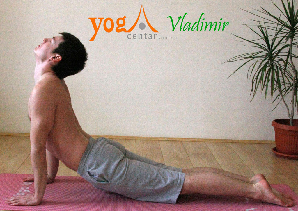 Joga-polozaji-Pas-koji-gleda-gore-(Urdhva-Mukha-Svanasana)-Vladimir