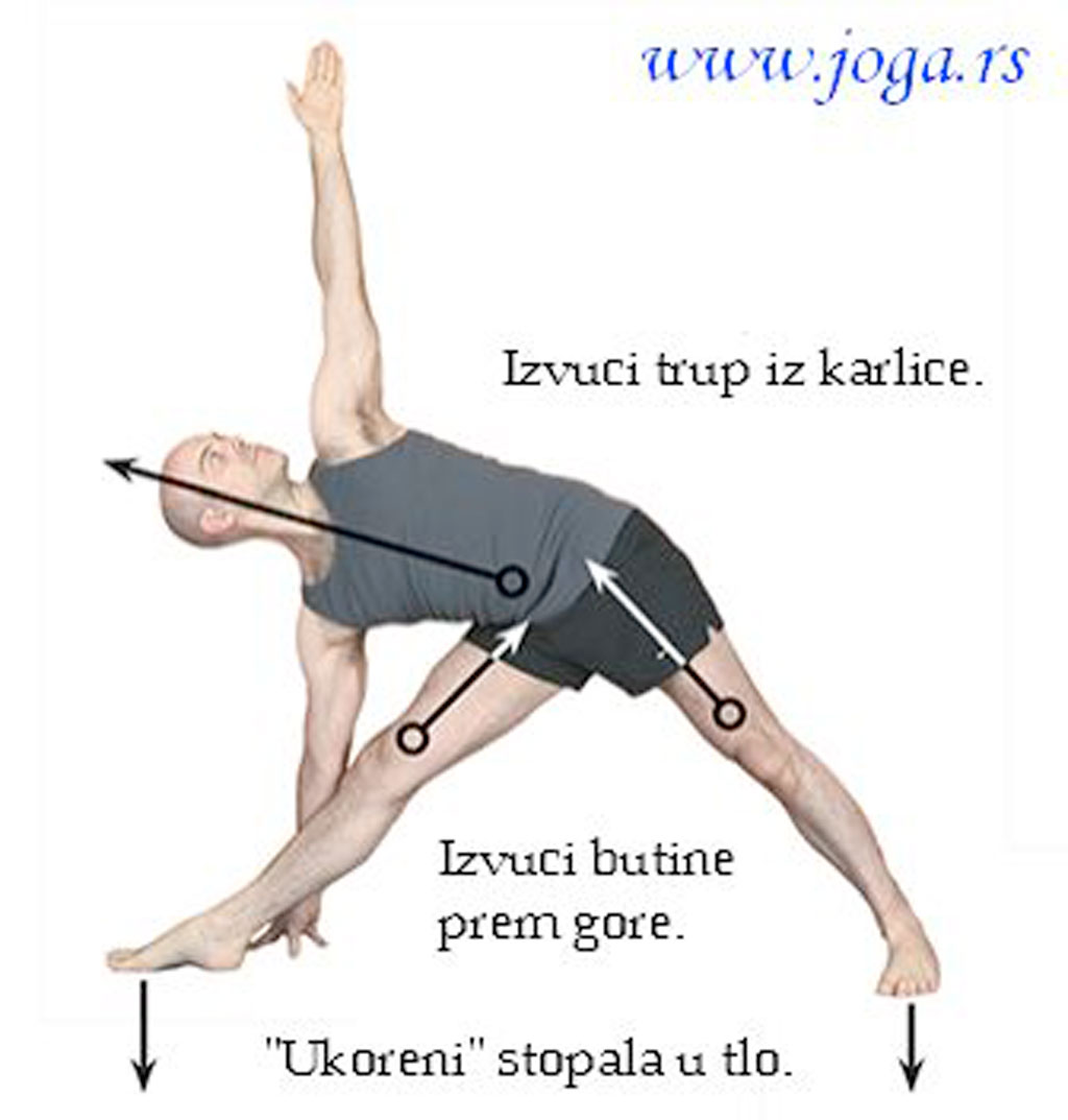 Joga-polozaji-vezbe-Utthita-Trikonasana-Istegnuti-trougao-crtez