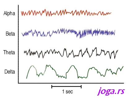 320c-joga-nidra-mozdani-talasi-jogif