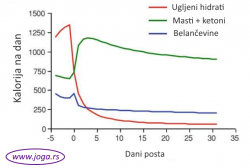 Belančevine, masti