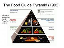 FDA Piramida