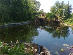 Joga centar Sombor, jezero, park, lokvanji