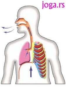 Joga disanje (pranayama): Odahni sa olakšanjem