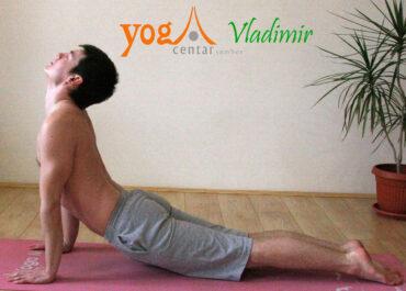 Joga položaj: Pas koji gleda gore (Urdva Muka Svanasana) - Joga vežbe - asane