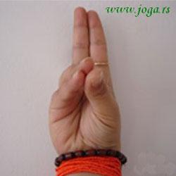 Pran(a) mudra (gest