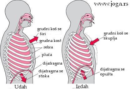 Prirodan dah