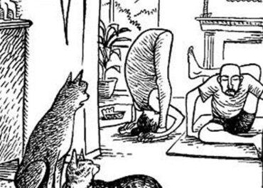 Šta mačke misle o jogi