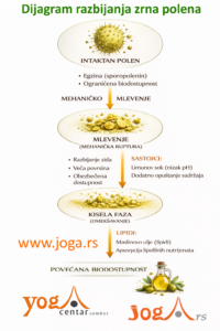 Dijagram procesa pripreme - Fabijanov eliksir 75